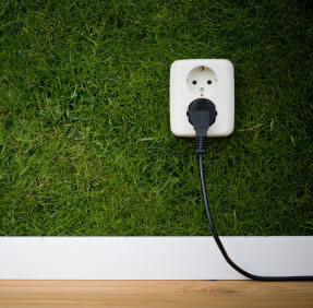 11 Easy Tips for Green Living at Home