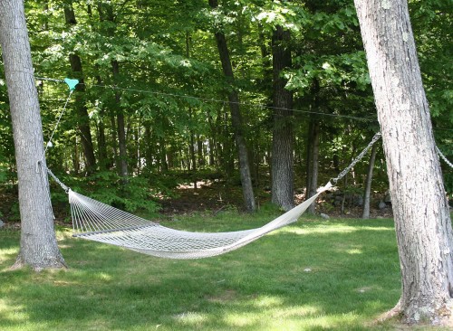 hammock