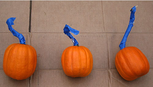 blue taped pumpkins