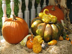 What to Do (and Not to Do) When Decorating Your Fall Front Porch