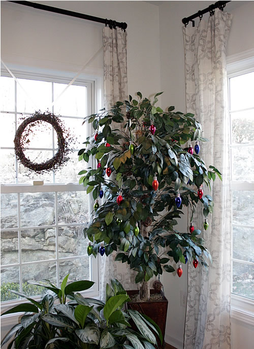 holiday faux ficus