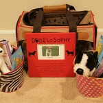 Shhhh – Easter Puppy Surprise