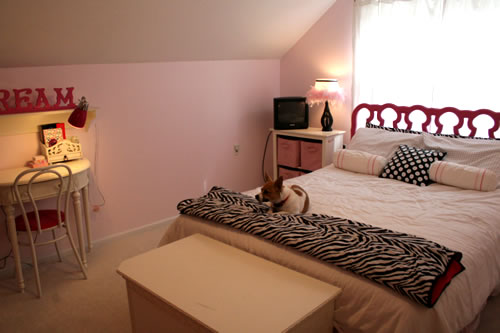 pink zebra glam room after