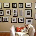 DIY Photography Feature Wall