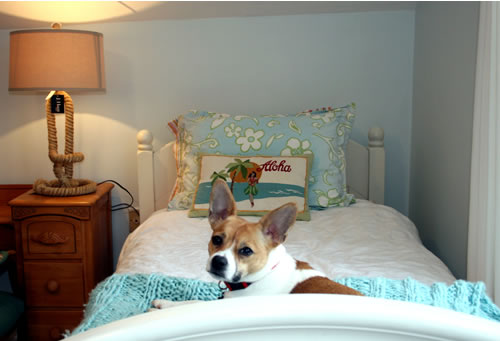 coastal guest room