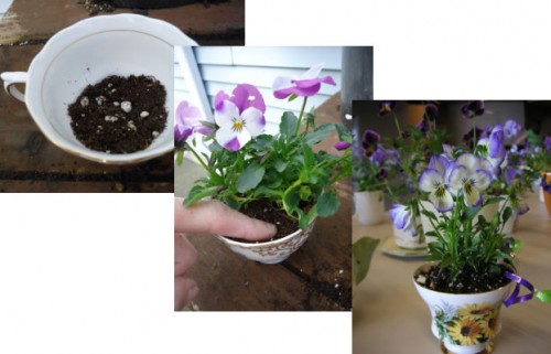 DIY tea cup planters