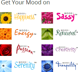 mood-lite colors