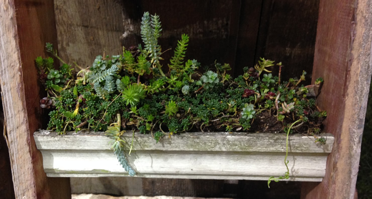 Turning Old Pallets into New Patio Furniture #repurpose #upcycle #yourhomeonlybetter #NWFGS