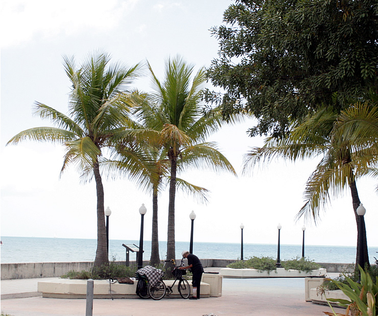 Happy Bikes in Key West 