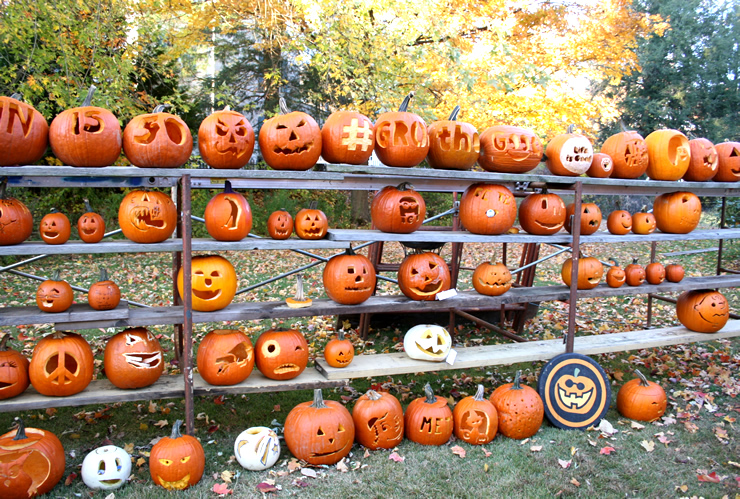 The Great Pumpkin Challenge in Newtown CT