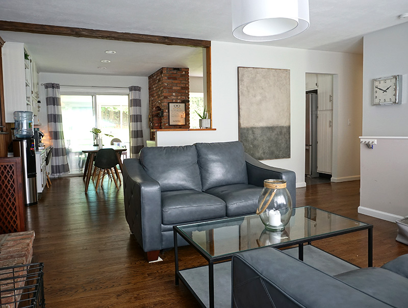 Dining Room Turned Dog-Friendly Living Room