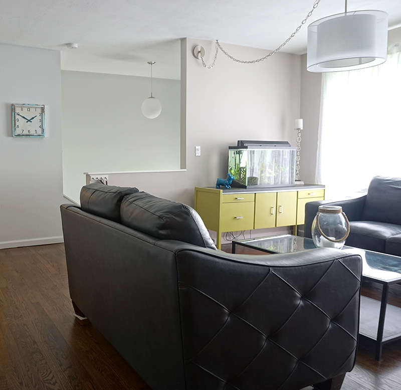 Dining Room Turned Dog-Friendly Living Room