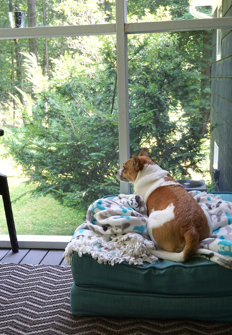 screened porch fixer upper