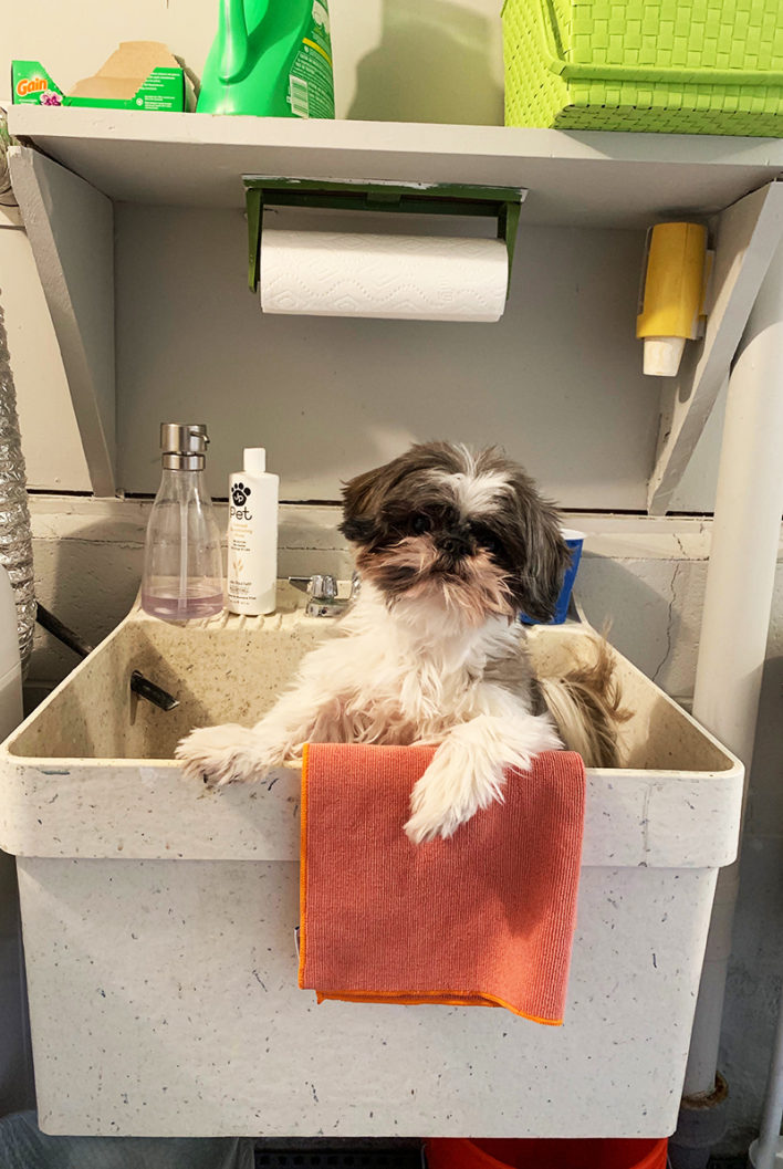 Real-Life Laundry Rooms That Work